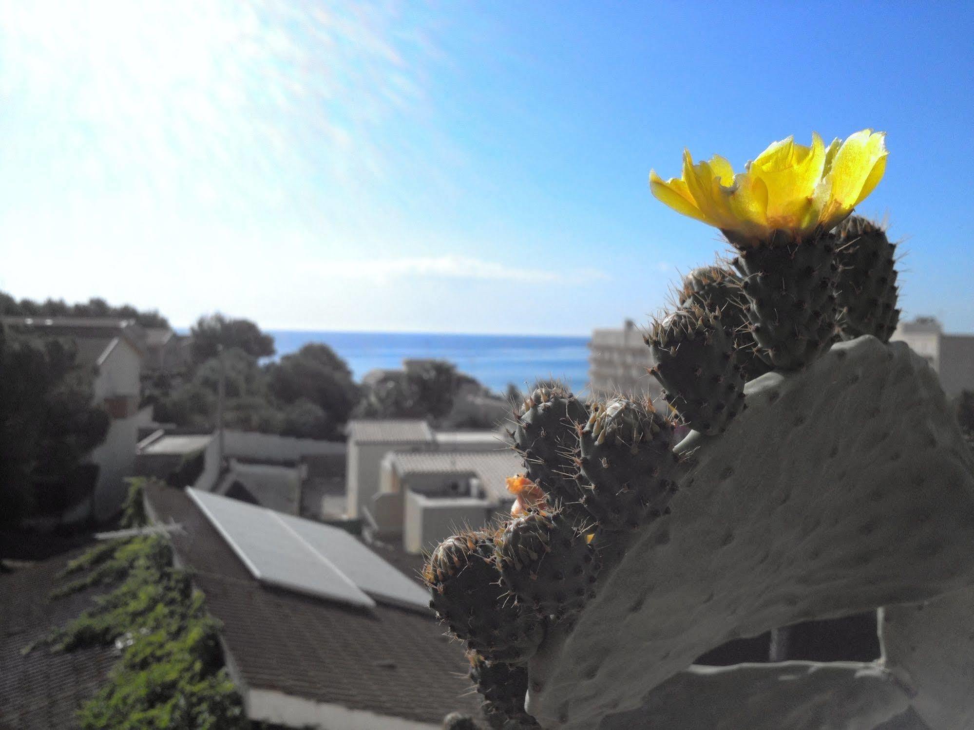 Gasthof Due Passi Dal Mare *